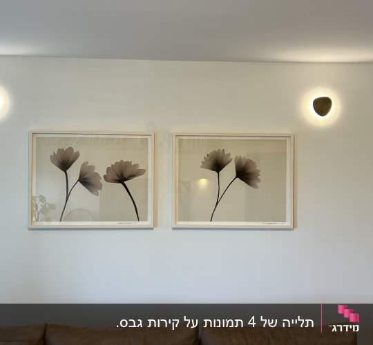 תמונות פרחים על קיר עם תאורה